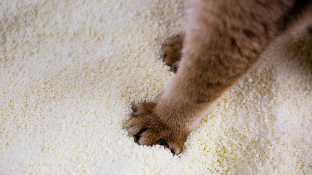 Cassava Cat Litter 1